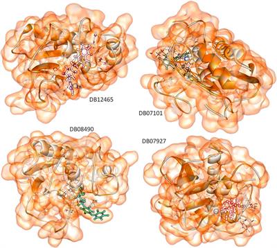 Identification of Zinc-Binding Inhibitors of Matrix Metalloproteinase-9 to Prevent Cancer Through Deep Learning and Molecular Dynamics Simulation Approach